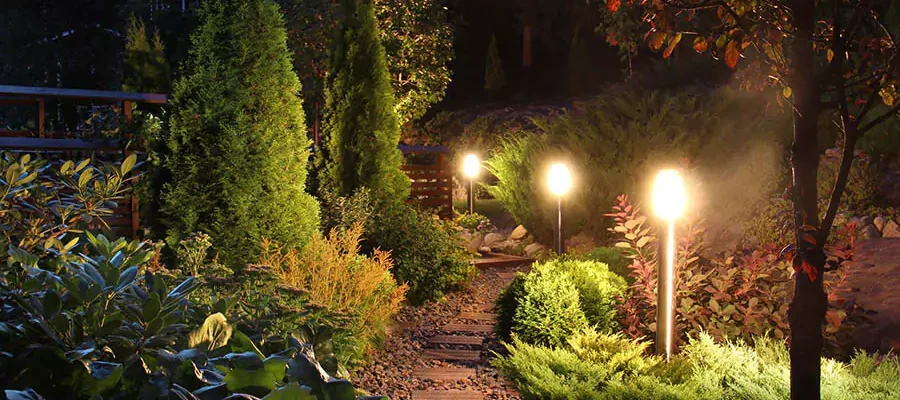 Illuminated home garden path patio lights and plants in evening dusk