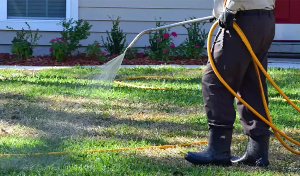 preventing-lawn-damage-top-insect-control-practices-in-indianapolis-in Top Insect Control Practices in Indianapolis, IN