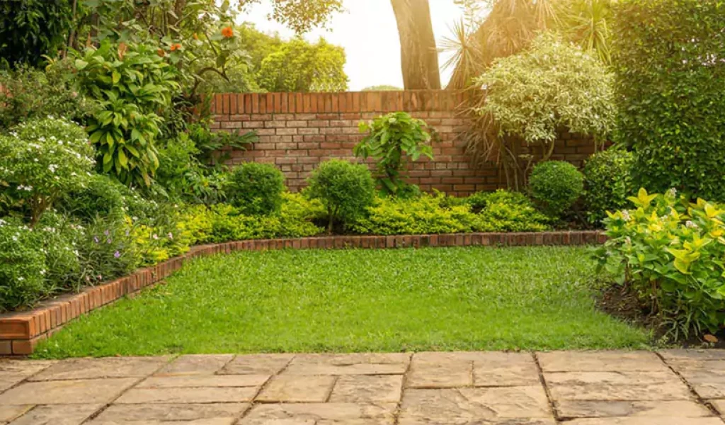 Year-Round Lawn Care Tips and Strategies for Indianapolis Homeowners