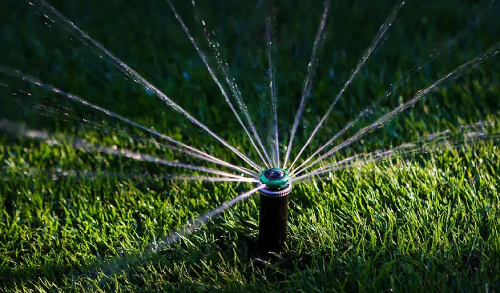 Sprinkler watering grass