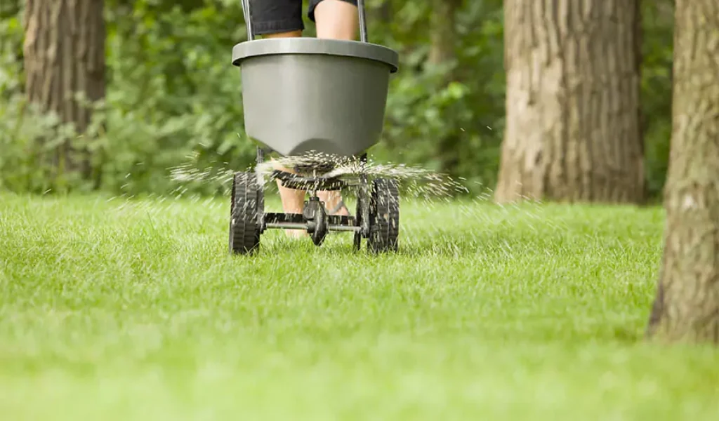 Fertilization specialist fertilize the lawn