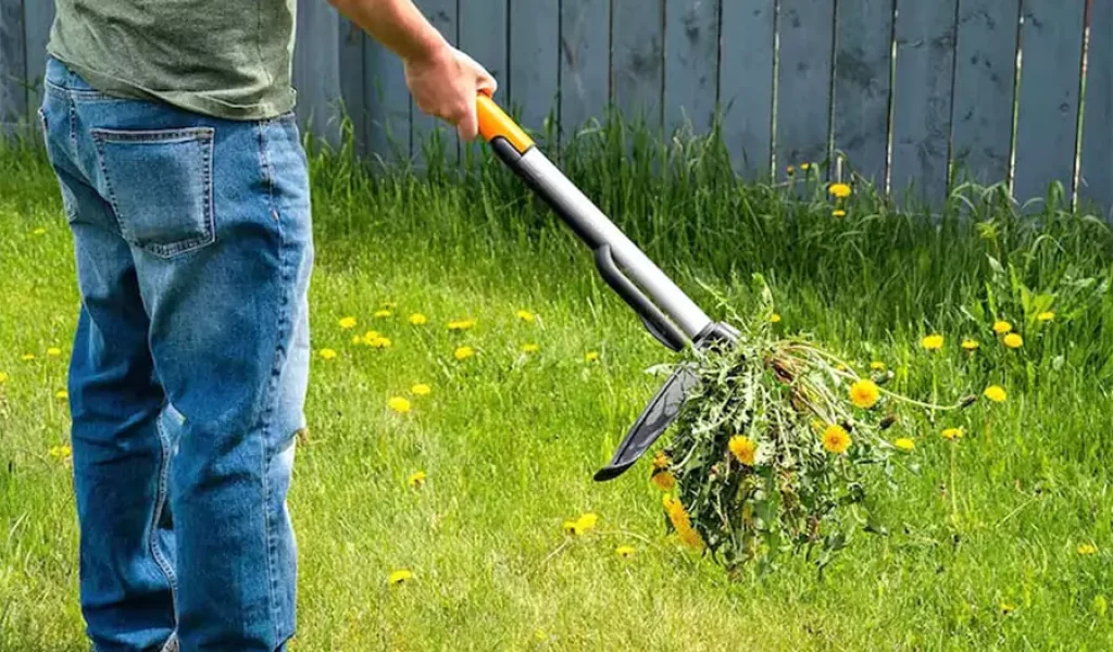 Weed specialist removing weeds