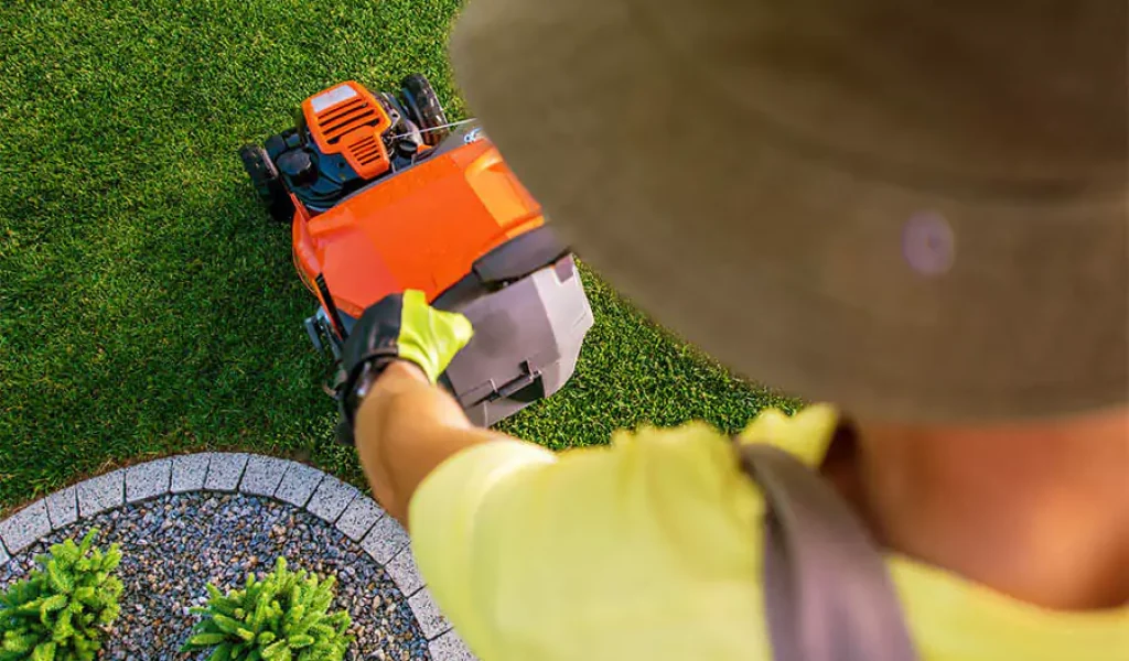 How to Keep Your Indianapolis Lawn Green