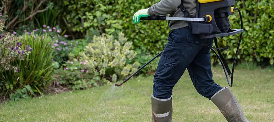 Man with backpack sprayer spraying grass