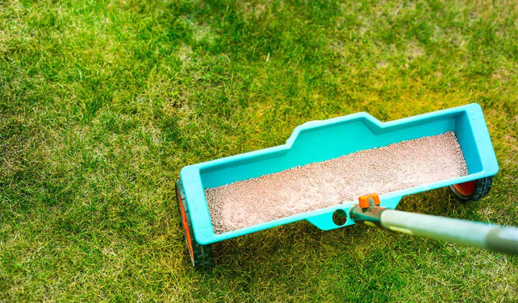Lawn care - Lawn Spring Fertilization tool